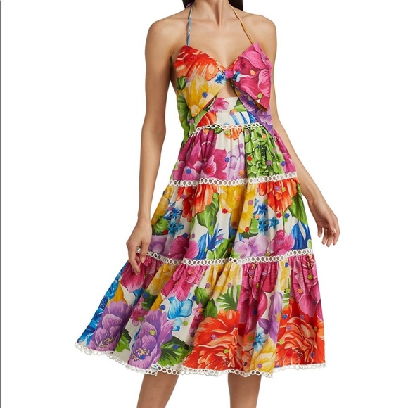 Farm Rio Rainbow Chita Floral-Print Midi Dress - Picture 13 of 16